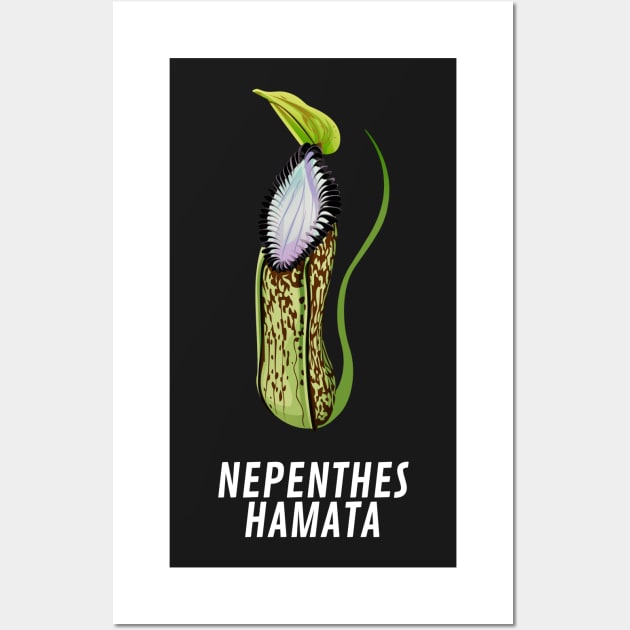 Carnivorous Pitcher Plant Shirt Gift Nepenthes Hamta Wall Art by Venus Fly Trap Shirts